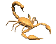skorpionas animuoti-vaizdai-gif